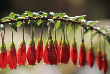 肇庆德庆私人快速借钱网，轻松解决资金难题