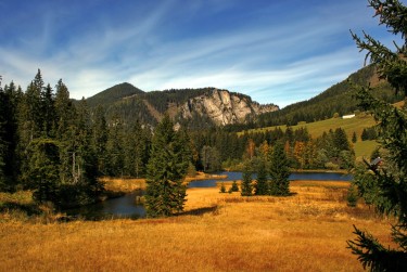 肇庆德庆民间私贷攻略：揭秘低成本借贷的秘密