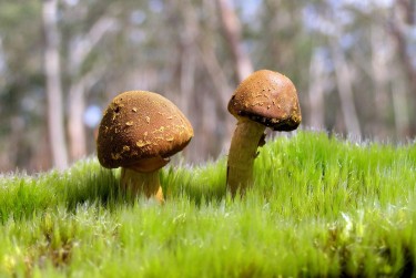 肇庆德庆私人老板放款：轻松融资的秘密通道